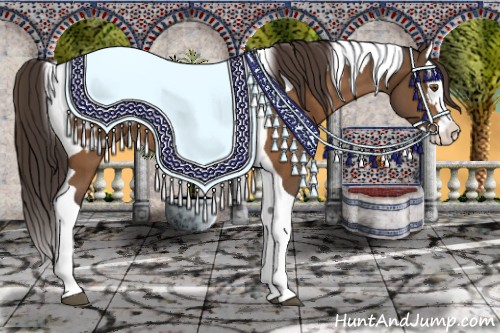 Horse Color:Buckskin Sabino Splash Tobiano Appaloosa 