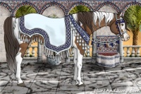 Horse Color:Buckskin Sabino Splash Tobiano Appaloosa