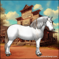 Horse Color:White Spotted Red Dun Rabicano  and White Spotted Red Dun Rabicano 
