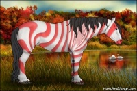 Horse Color:Bay Dun Splash 