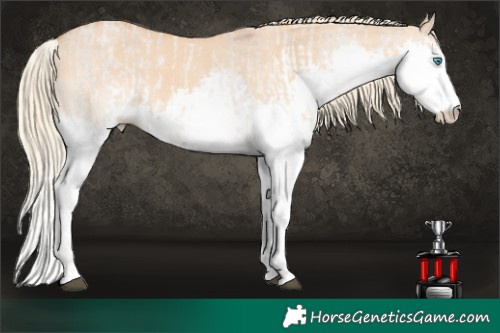 Horse Color:Red Dun Roan Mushroom Splash Rabicano  and White Spotted Red Dun Mushroom Splash Rabicano 