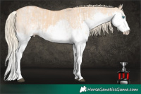 Horse Color:Red Dun Roan Mushroom Splash Rabicano and White Spotted Red Dun Mushroom Splash Rabicano