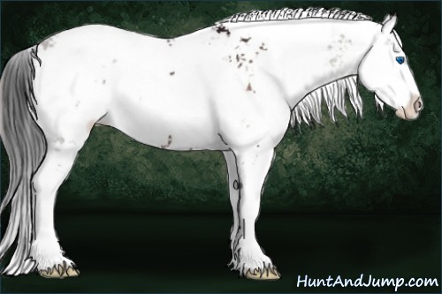 Horse Color:Brown Ice Onyx Sabino Splash 