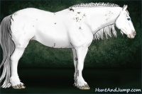 Horse Color:Brown Ice Onyx Sabino Splash 