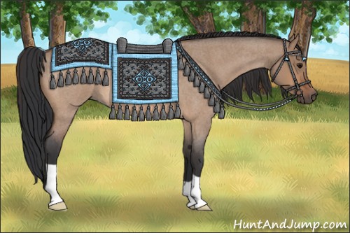 Horse Color:Bay Roan Dun 