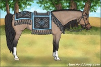 Horse Color:Bay Roan Dun 