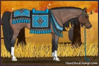 Horse Color:Bay Roan 