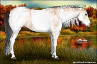 Horse Color:White Spotted Bay Dun Rabicano  and Gray White Spotted Bay Dun Rabicano 