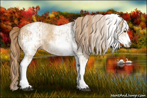 Horse Color:White Spotted Red Dun Rabicano and White Spotted Red Dun Rabicano