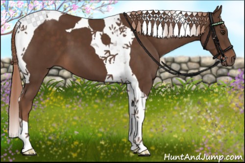 Horse Color:Liver Chestnut Tobiano