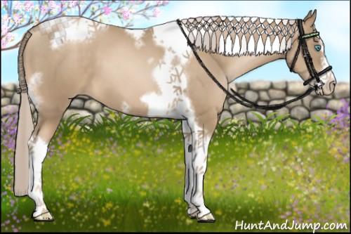 Horse Color:Chocolate Palomino Pearl Tobiano Frame 