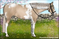 Horse Color:Chocolate Palomino Pearl Tobiano Frame 