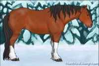 Horse Color:Bay Tobiano Rabicano