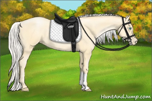 Horse Color:Silver Buckskin Pearl 