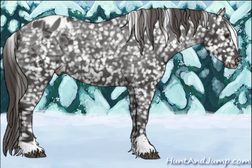 Horse Color:Liver Chestnut Ice Sabino Appaloosa 
