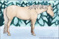 Horse Color:Silver Sable Cream Champagne Pearl 