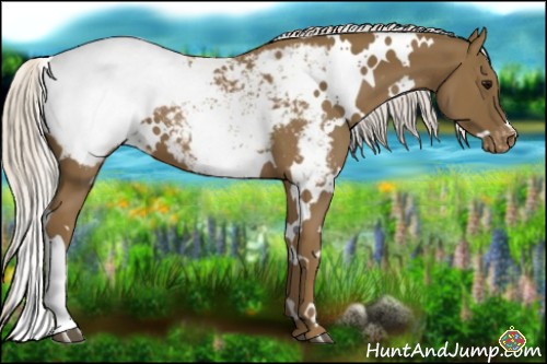 Horse Color:White Spotted Silver Smoky Black Snowcap 