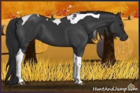 Horse Color:Black Tobiano