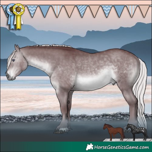 Horse Color:Chocolate Silver Brown Chinchilla 