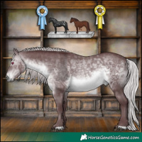 Horse Color:Chocolate Silver Brown Chinchilla 