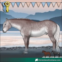 Horse Color:Chocolate Silver Brown Chinchilla