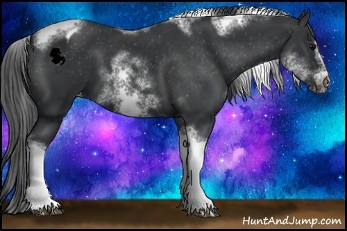 Horse Color:White Spotted Black Splash Tobiano Frame Appaloosa