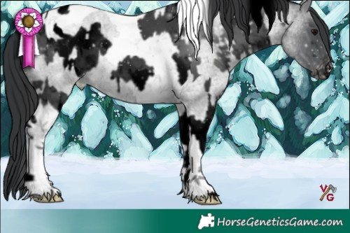 Horse Color:Void Black Tobiano Varnish  and Blue Roan Tobiano Varnish 