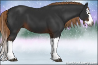 Horse Color:Gray Liver Chestnut Splash 