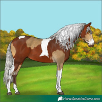 Horse Color:White Spotted Silver Buckskin Mushroom and Silver Bay Tobiano