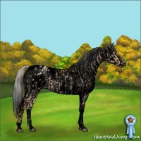 Horse Color:Void Red Dun Tobiano Blanket and Void Red Dun Onyx Mushroom Splash Varnish