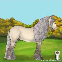 Horse Color:Chocolate Silver Sable Cream Champagne Chinchilla Sabino