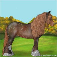 Horse Color:Liver Chestnut Snowflake Varnish