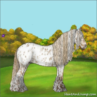 Horse Color:Gray Red Dun Near Leopard  and Gray Red Dun Roan Near Leopard 