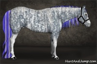 Horse Color:ERROR: UNKNOWN ANOMALY and ERROR: UNKNOWN ANOMALY