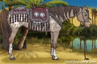 Horse Color:Liver Red Dun Appaloosa and Liver Red Dun Appaloosa