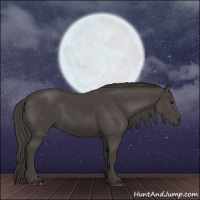 Horse Color:Smoky Black 