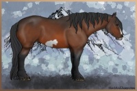 Horse Color:Bay Frame 