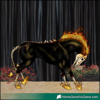 Horse Color:Void White Spotted Red Dun Appaloosa  and Void Red Dun Appaloosa 