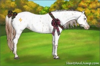 Horse Color:Red Dun Appaloosa  and Red Dun Appaloosa 