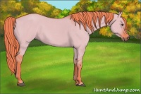 Horse Color:Watercolor Liver Red Dun Roan 