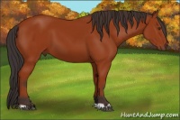 Horse Color:Brown 