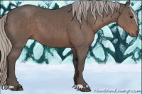 Horse Color:Silver Black 