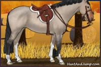 Horse Color:Brown Roan Dun Rabicano 