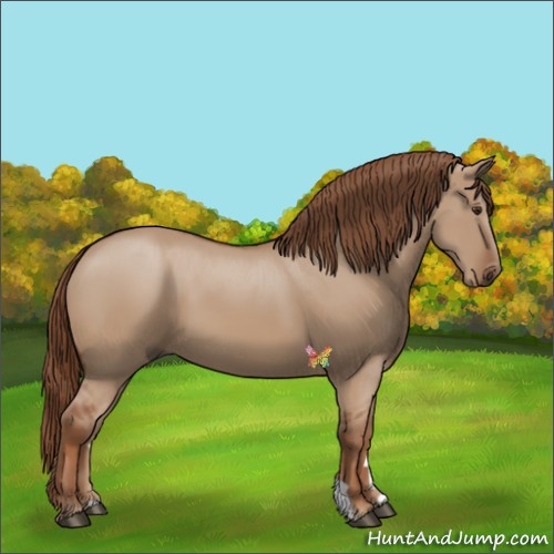 Horse Color:Red Dun 