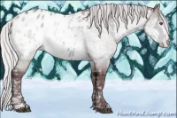 Horse Color:Chocolate Silver Brown Chinchilla Ice Sabino Appaloosa 