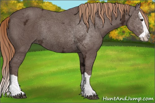 Horse Color:Liver Chestnut Ice Splash Rabicano