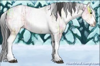 Horse Color:White Spotted Brown Ice Splash