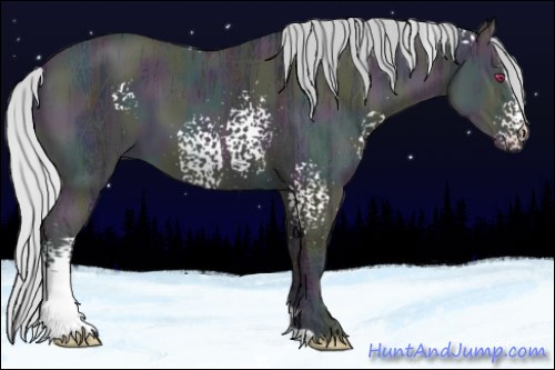 Horse Color:White Spotted Midnight Silver Classic Champagne Chinchilla Ice Sabino 