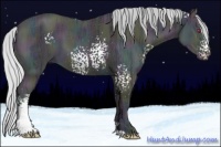 Horse Color:White Spotted Midnight Silver Classic Champagne Chinchilla Ice Sabino 