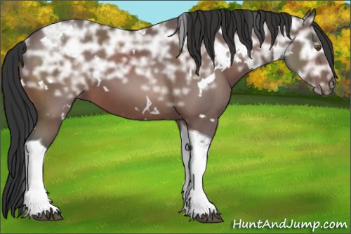 Horse Color:White Spotted Brown Ice Tobiano 